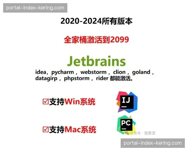 赛事版权方通过开放数据接口鼓励第三方开发互动插件从而丰富了生态