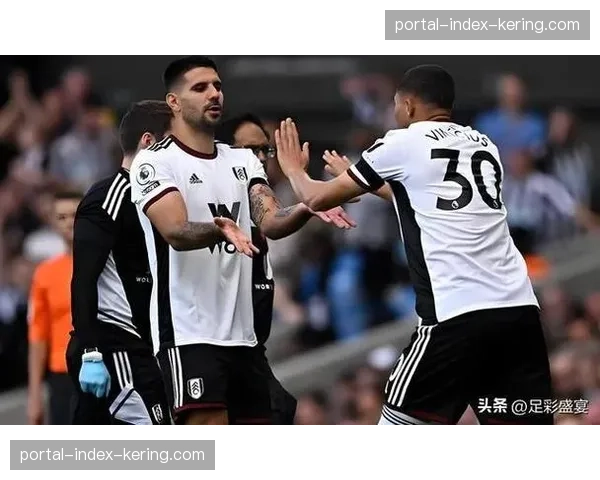 热刺伤病名单多达十人 斯宾塞乌多吉等关键球员缺阵